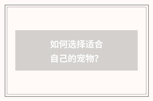 如何选择适合自己的宠物？
