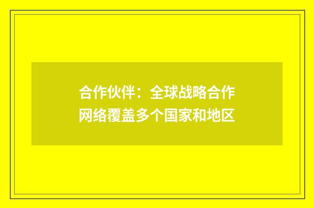 合作伙伴：全球战略合作网络覆盖多个国家和地区
