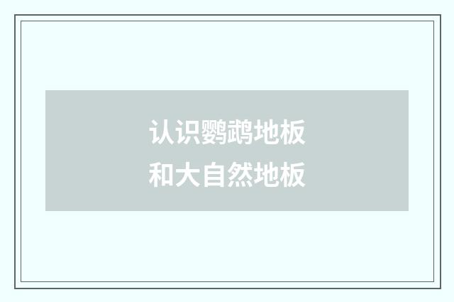 认识鹦鹉地板和大自然地板
