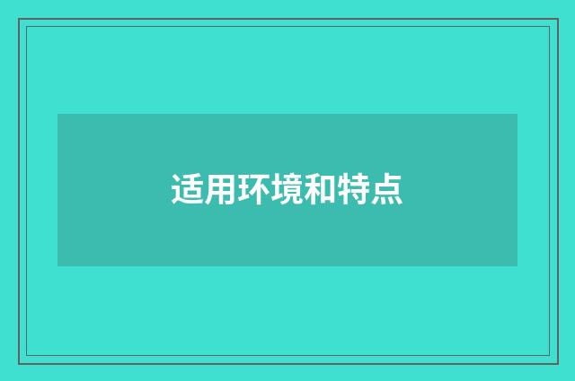 适用环境和特点