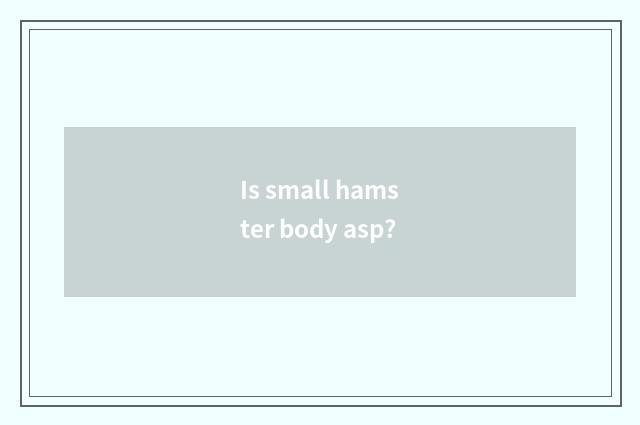 Is small hamster body asp?
