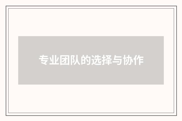 专业团队的选择与协作