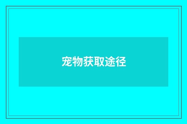 宠物获取途径
