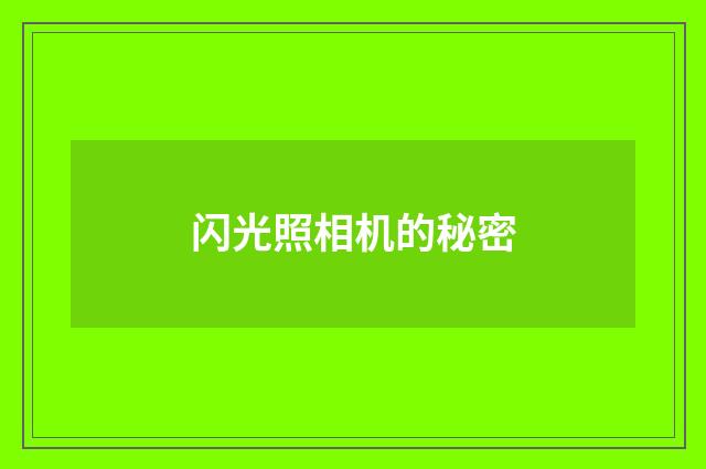 闪光照相机的秘密