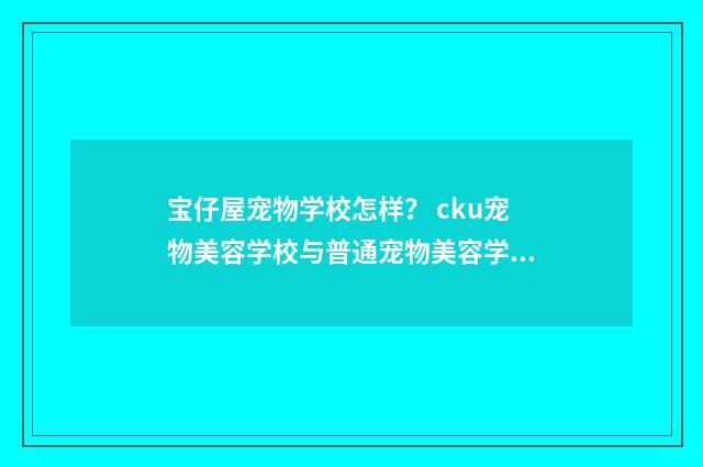 宝仔屋宠物学校怎样？ cku宠物美容学校与普通宠物美容学校的区别？英文双语对照