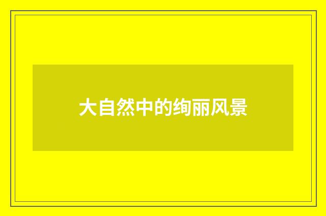 大自然中的绚丽风景