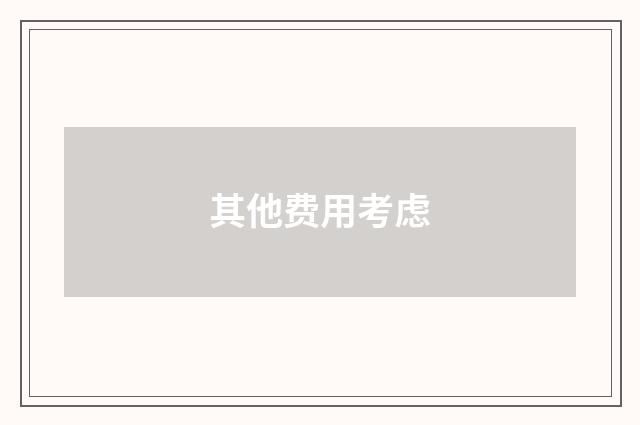 其他费用考虑