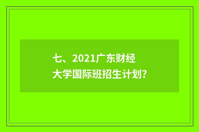 七、2021广东财经大学国际班招生计划？