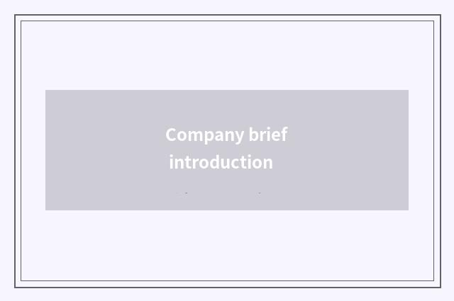 Company brief introduction