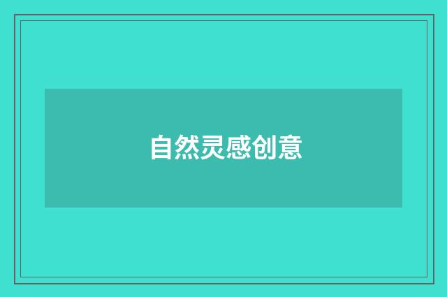 自然灵感创意