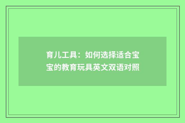 育儿工具：如何选择适合宝宝的教育玩具英文双语对照