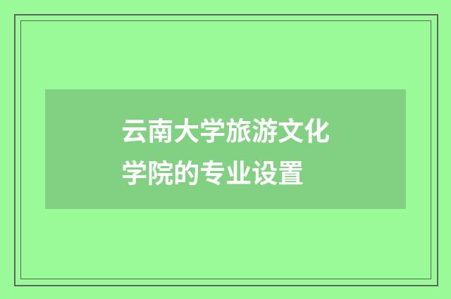 云南大学旅游文化学院的专业设置