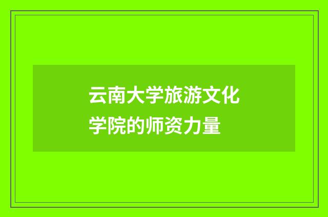 云南大学旅游文化学院的师资力量