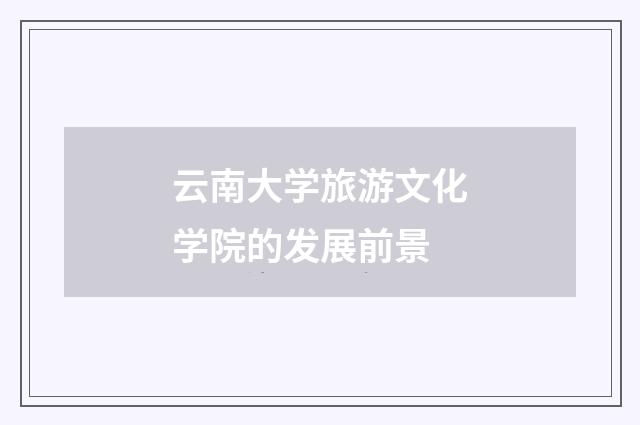 云南大学旅游文化学院的发展前景