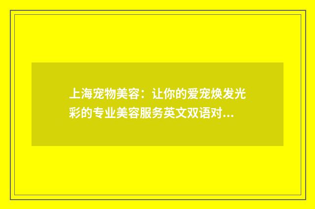 上海宠物美容：让你的爱宠焕发光彩的专业美容服务英文双语对照