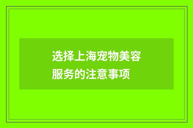 选择上海宠物美容服务的注意事项