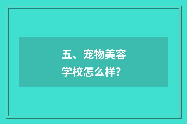 五、宠物美容学校怎么样？