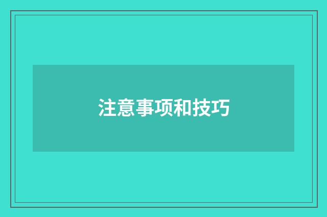 注意事项和技巧