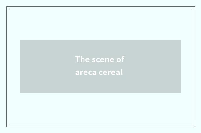 The scene of areca cereal