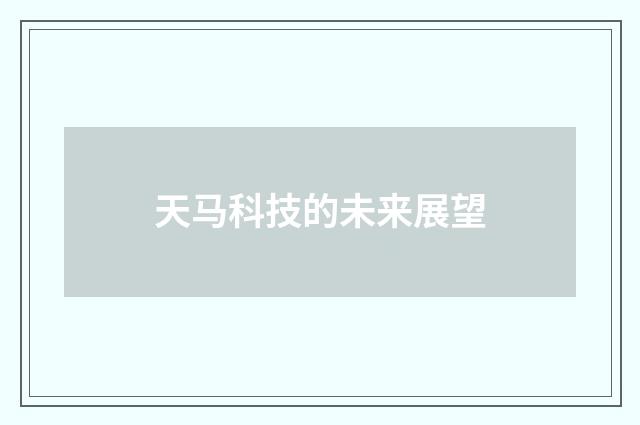 天马科技的未来展望