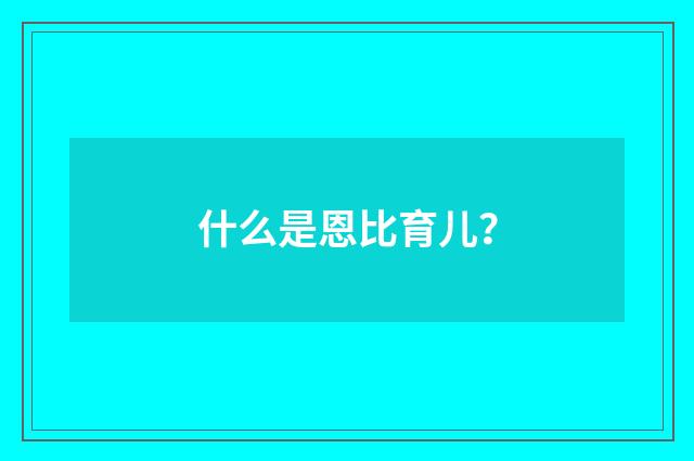 什么是恩比育儿？