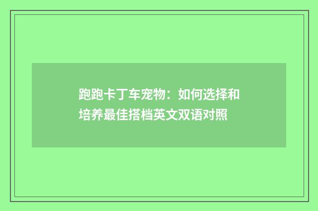 跑跑卡丁车宠物：如何选择和培养最佳搭档英文双语对照