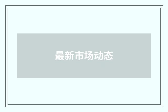 最新市场动态