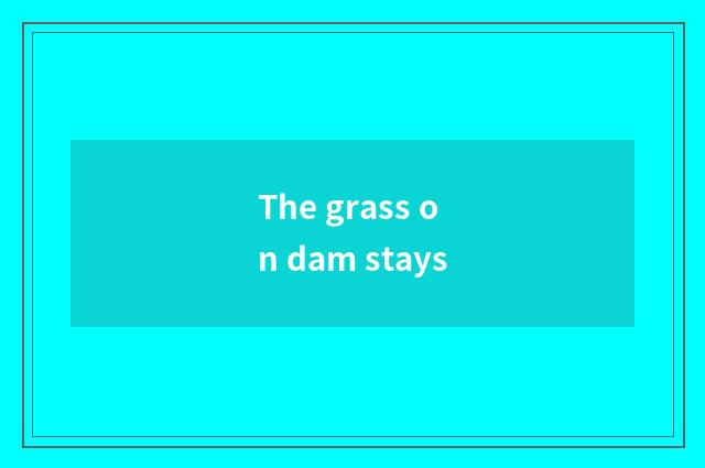 The grass on dam stays