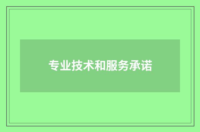 专业技术和服务承诺