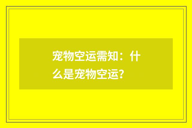 宠物空运需知：什么是宠物空运？