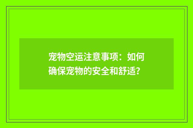 宠物空运注意事项：如何确保宠物的安全和舒适？