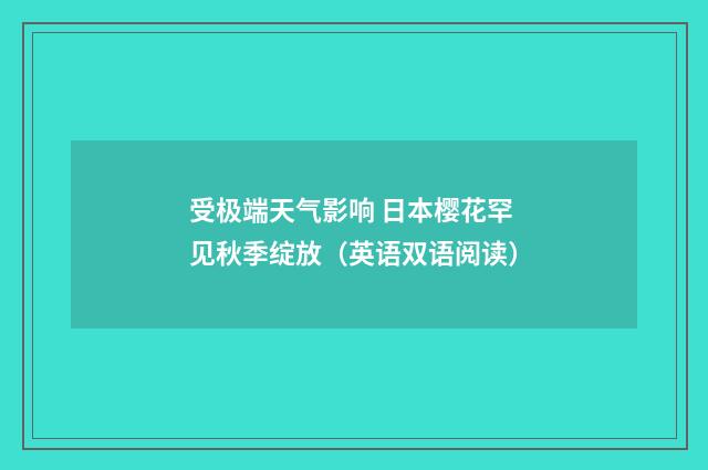 受极端天气影响 日本樱花罕见秋季绽放（英语双语阅读）
