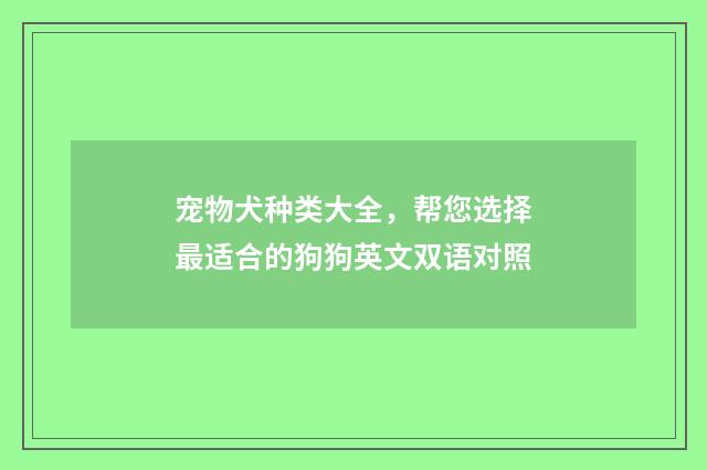 宠物犬种类大全，帮您选择最适合的狗狗英文双语对照