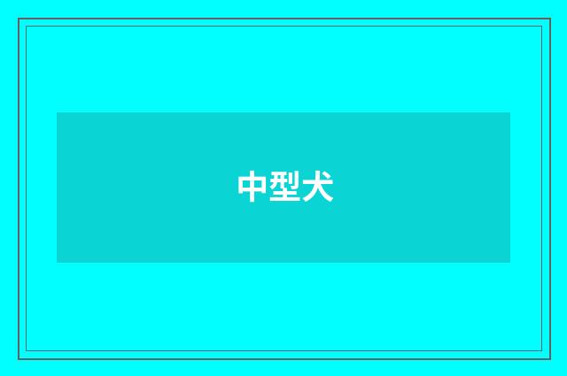 中型犬