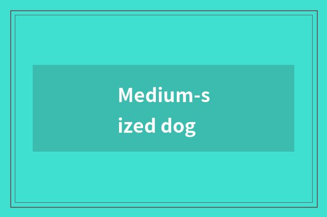 Medium-sized dog