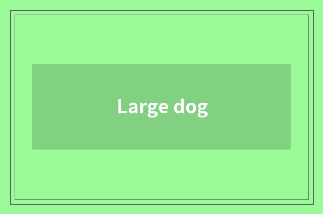 Large dog
