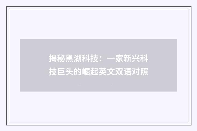 揭秘黑湖科技：一家新兴科技巨头的崛起英文双语对照