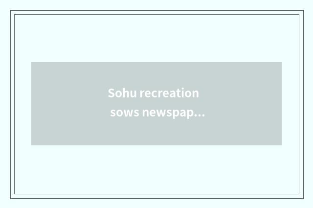 Sohu recreation sows newspaper content to share value