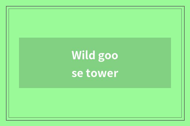 Wild goose tower
