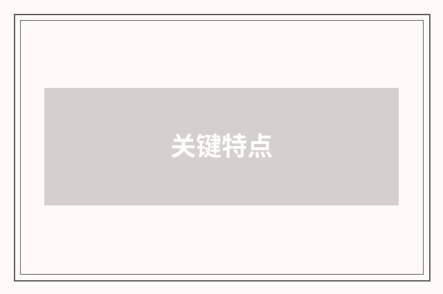 关键特点