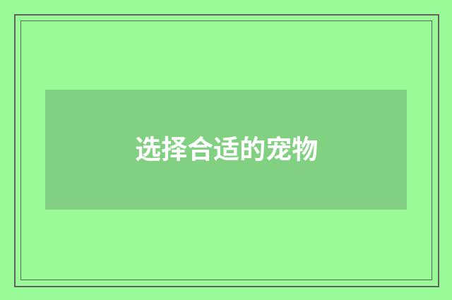 选择合适的宠物