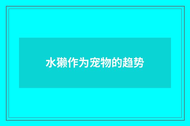 水獭作为宠物的趋势