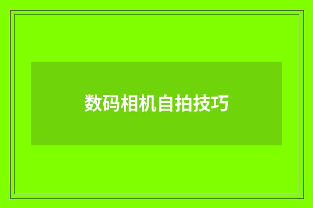 数码相机自拍技巧