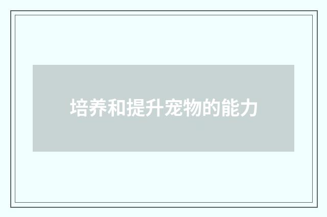 培养和提升宠物的能力