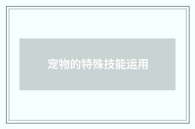 宠物的特殊技能运用