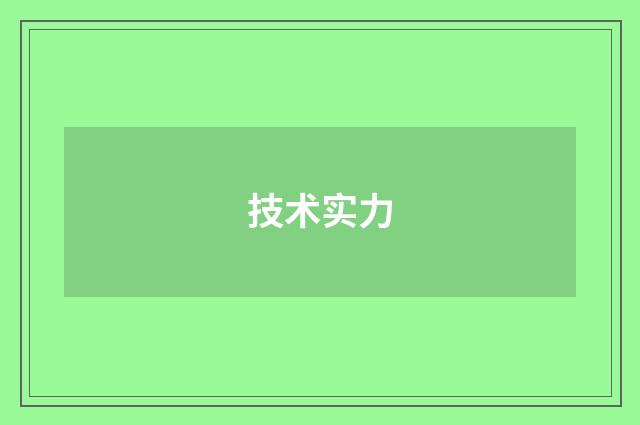 技术实力