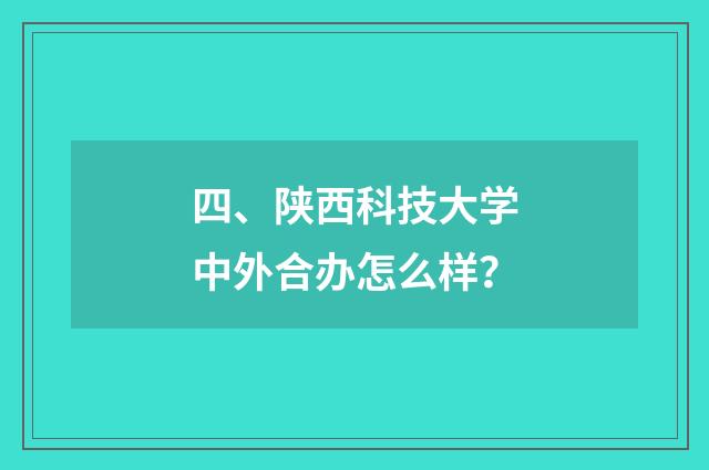四、陕西科技大学中外合办怎么样？