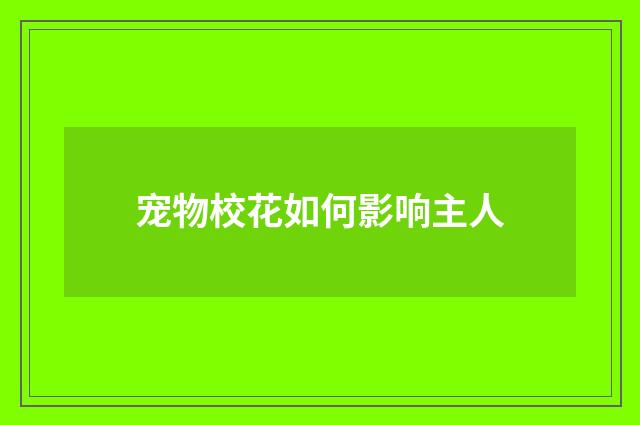 宠物校花如何影响主人