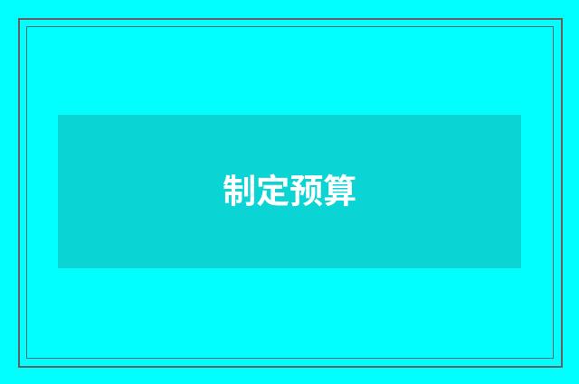 制定预算
