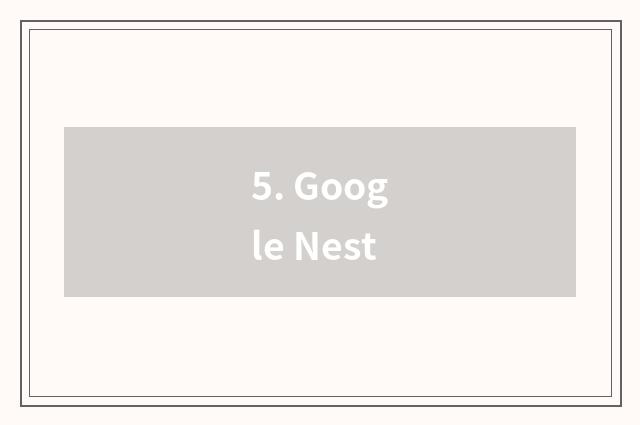 5. Google Nest